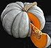 Blue Jarrahdale Pumpkin 15 Seeds - Decorative & Edible