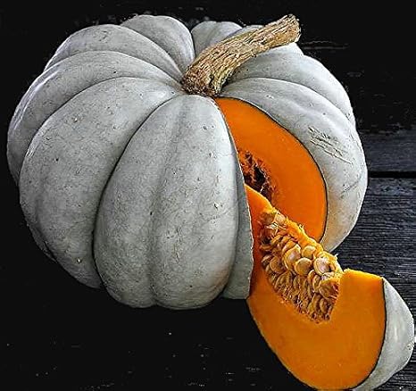 Amazon Com Blue Jarrahdale Pumpkin 15 Seeds Decorative