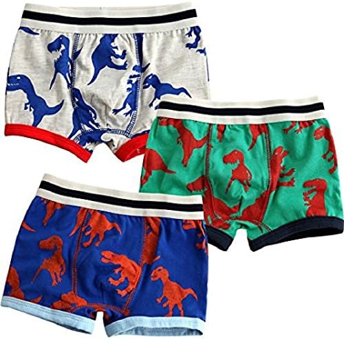 Baby Toddler Kids 2T-7T Boys Boxer Brief 3-pack Underwear Set (3T/100cm, Dinosaur Print)