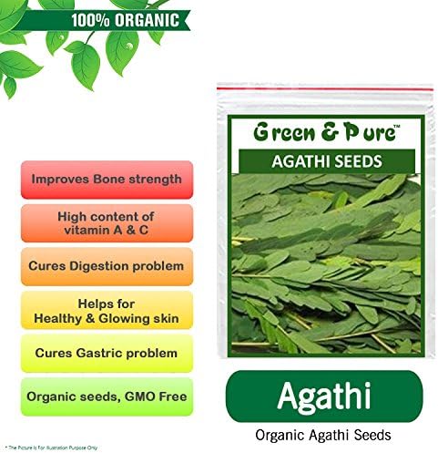 Green and Pure - High Yield Organic Vegetable Seeds - Agathi (Pack of 1) for Kitchen/Terrace/Home Garden