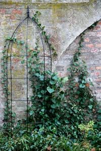 kuheiga Pérgola, celosía, Negro, Altura: 200 cm, Completo Hierro