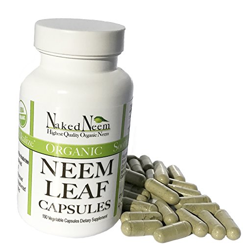 Organic Neem, 500mg - Assists with Acne, Skin, Immune, Blood Sugar- Non-GMO