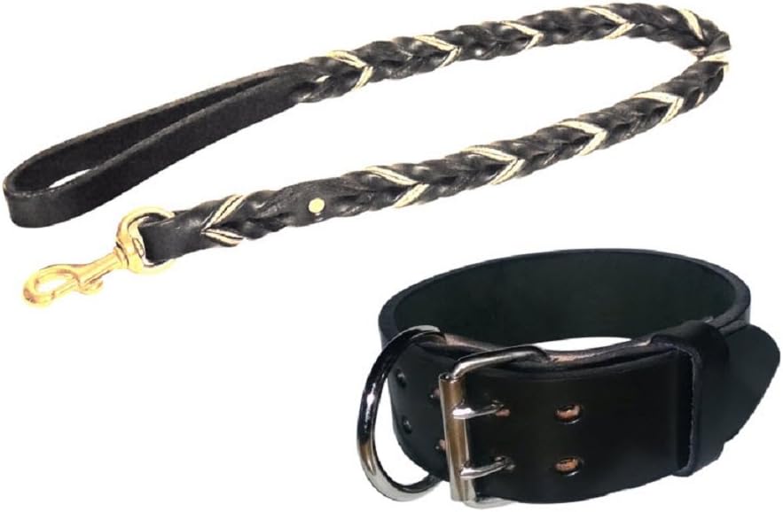 Pitbull & Big Large Breeds Mahogany Leather Dog Collar and Braided Leash Lead Pet Training Set