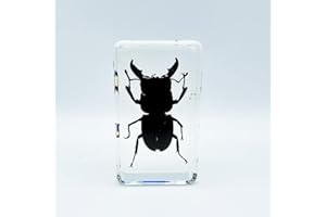 BETENSH Assorted Styles of Beetle and Insect Specimens, Clear Amber Resin Material Ideal for Kids' Science Education, Collecting, and Home Decoration 2.4″*1.4″*0.7″ (No.35)