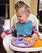 Silicone baby & toddler divided plate. Safe for Oven, Microwave, Dishwasher, Freezer and Boil SAFE! Purple