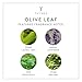 Thymes - Olive Leaf Bubble Bath - Moisturizing Foaming Bath Soak with Natural Olive Oil - 12.25 oz