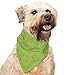 Insect Shield Repellant Dog Bandana for Protecting Dogs from Fleas, Ticks, and Mosquitoes, Dogs & Bones, Green, 19x19 Inch (Pack of 1) (IE9412 44)