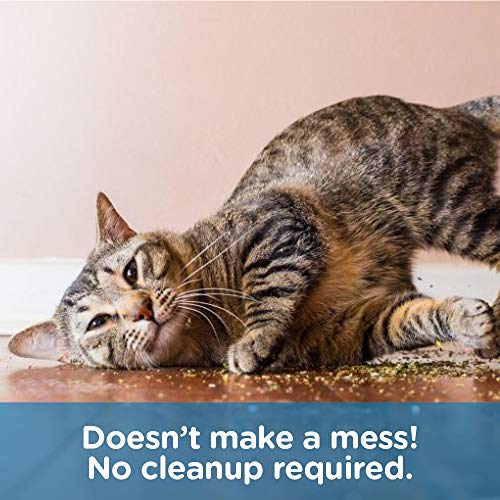 Pet MasterMind I Love Catnip 4oz Liquid Catnip Spray - All Natural New Extra Potent Formula! - Made from 100% Canadian Grown Catnip!