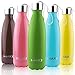 MAKI Vacuum Insulated Stainless Steel Water Bottle - 36 Hours Cold! Carry Strap Cap - 17 Ounce (Grass Green, 17oz)