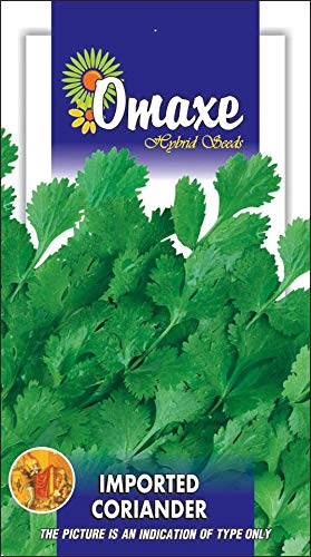 Omaxe Seeds Coriander Imported Green-Dhaniya Seeds Vegetable seeds Kitchen Garden Packet
