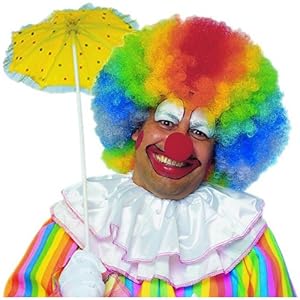 Peluca Afro Multicolor