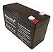 PowerStar 2 Pack - 12V 9Ah BATTERY Compatible with apc BACK-UPS NS1250, NS 125