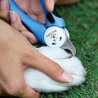 best dog grooming nail clippers
