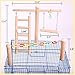 Bird Cage Stand Play Gym, Green Cheek Conure Perch Playground, Wood Parrot Climbing Ladder Chewing Chain Swing for Lovebirds Budgies Finches Parakeets, Activity Center,Birdcage Training Accessoriesthumb 2