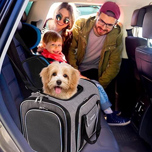 Airline Approved Expandable 4-Sided Cat Carrier Bag for Cats & Small Dogs, Car/Plane/Train, Folding, Removable Soft Cushion, 45 x 28 x 28 cm, Secure