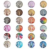 24 Pieces Beautiful Glass Refrigerator