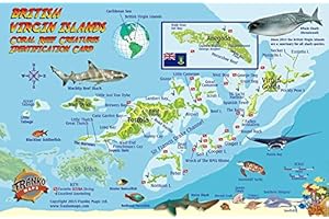 British Virgin Islands Dive Map & Coral Reef Creatures Guide Franko Maps BVI Laminated Fish Card