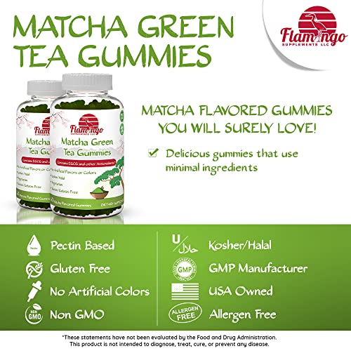 Matcha Green Tea Extract Gummies with EGCG Energy Gummies, Metabolism