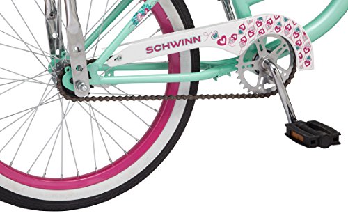 schwinn mist 20