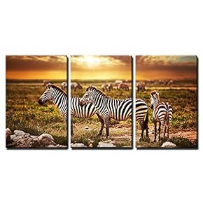 Zebra Herd And Savanna Sunset Serengeti - 3 Panel Canvas Art