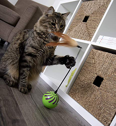 smartykat feather whirl replacement