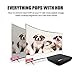 ESHOWEE M8S PRO Android 7.1 TV Box Amlogic S912 DDR4 3GB 16GB BT4.1 2.4/5 Dual-Band WiFi 4K UHD