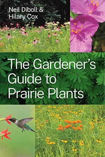Gardening With Grasses: King, Michael: 9780711212022: Amazon.com