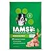 IAMS PROACTIVE HEALTH Adult Minichunks Small Dry Dog Food Chicken Dog Kibble, 50 lb. Bag