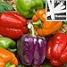 Organic Rainbow Mix Pepper 300 Seeds Upc 646263360903 Each color has its own distinctive flavor + 2 Plant Markers