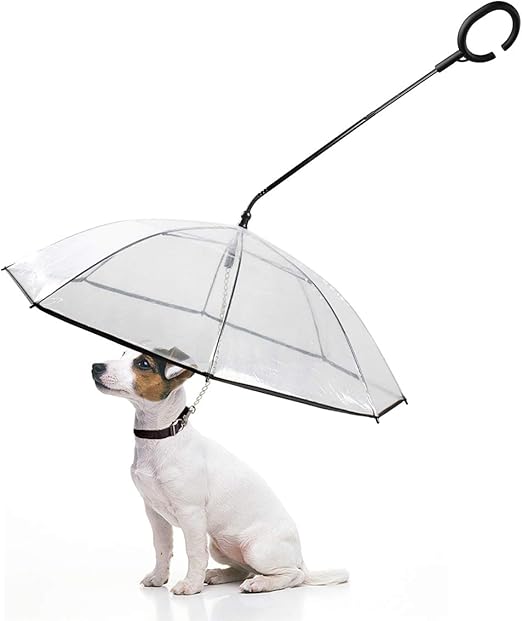 amazon dog umbrella