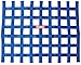 RaceQuip® 721025RQP Window Net 1 in Webbing - 18 x 24 in Rectangle - Blue