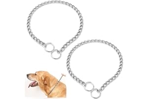 Silver Dog Chain Collars for Small Dogs, 2Pack Heavy Duty Training Choker Collar for Dogs Metal Slip P Link Martingale Collar