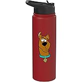 Scooby-Doo Confused Stainless Steel Insulated Water Bottle