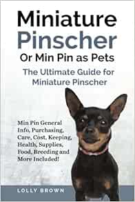 cost of miniature pinscher