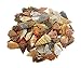 Jasper Arrowhead - Bag of 25 Arrowheads Replica Modern- 1