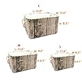 Jacone Stylish Tree Stump Design Rectangular Storage Baskets Cotton Fabric Washable Storage Bins Organizers with Rope Handles, Decorative and Convenient for Kids Rooms - Set of 3