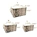 Jacone Stylish Tree Stump Design Wood Grain Rectangular Storage Basket Washable Cotton Fabric Nursery Hamper with Rope Handles, Decorative and Convenient for Kids Rooms (Large)