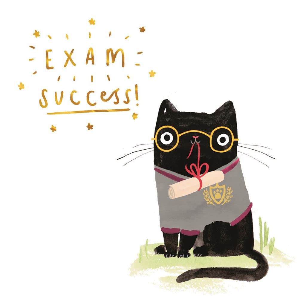 Hallmark Exam Success Congratulations Card - Cute Illustrated Cat Design