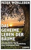 Das geheime Leben der Bäume: Was sie fühlen, wie sie kommunizieren - die Entdeckung einer verborgenen Welt by Peter Wohlleben
