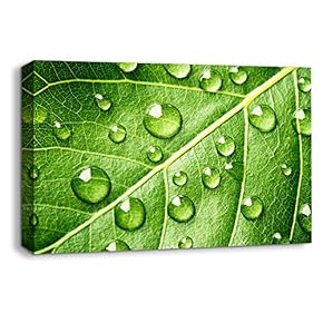 Canvas Wall Art Leaf Veins Pictures Home Wall Decorations for Bedroom Living Room Paintings Canvas Prints Framed - 12x18 inches