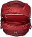 Osprey Packs Quasar Daypack, Robust Red