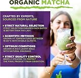 MySuperfoods Organic Matcha Green Tea Capsules 1200mg 120 Count view 4