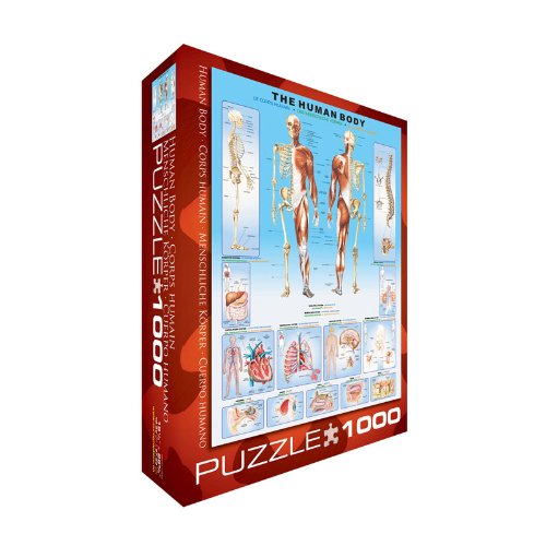 EuroGraphics Human Body Puzzle (1000-Piece)