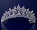 Rhinestones Crystal Wedding Bridal Pageant Princess Tiara Crown 3150