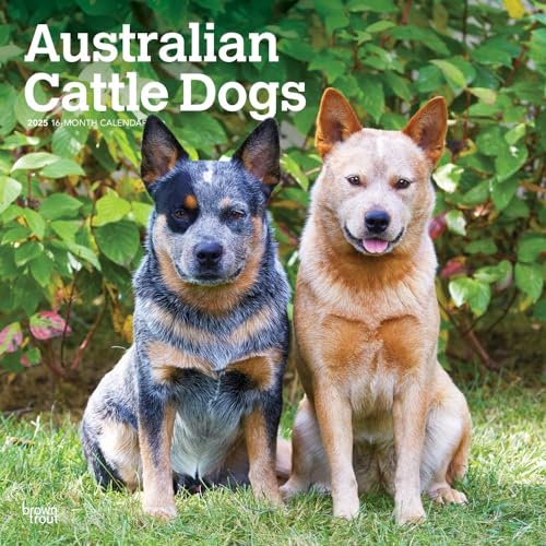 Australian Cattle Dogs | 2025 12 x 24 Inch Monthly Square Wall Calendar | Plastic-Free | BrownTrout | Animals Dog Breeds at Amazon