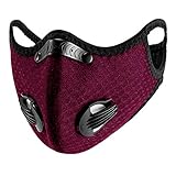 PIPITREE 2 Pcs Anti-Dust Reusable Cover Half Face