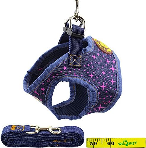Adjustable Soft Denim Vest Dog Puppy Cat Pet Harness and Leash Set for Dogs Cats Pets (C, Purple Stars)