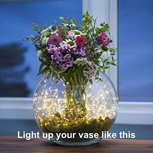 Cocoselected Warm White Twinkling Fairy Lights USB Powered,33ft 100 Micro LEDs String Twinkle Lights with Remote Control Teen Girls Bedroom Decor Kids Night Light