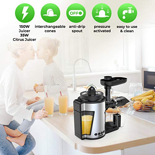 DORINI 2in1 Masticating Juicer & Citrus Juicer Slow Juicer Cold
