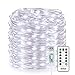 Homestarry Fairy Lights, USB Plug Twinkle String Lights with Remote White Decorative Lights for Bedroom Patio Christmas Wedding Party Dorm Indoor Outdoor, 33Ft 100LEDs, Daylight White primary